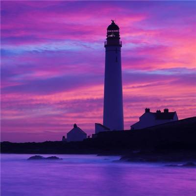 澳门4949资料免费大全手机app下载