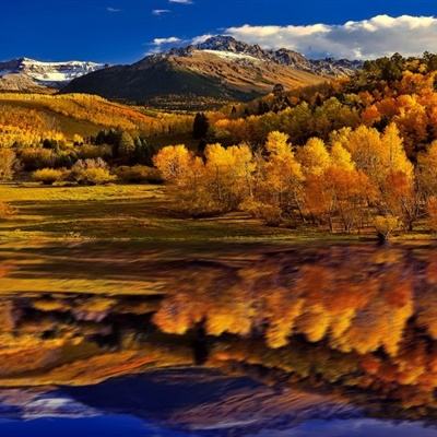 B体育app客户端下载