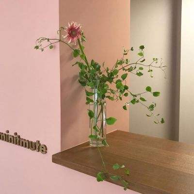 半岛·体育中国官方网站下载