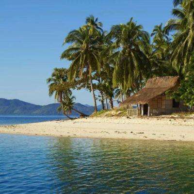 任你博下载手机版